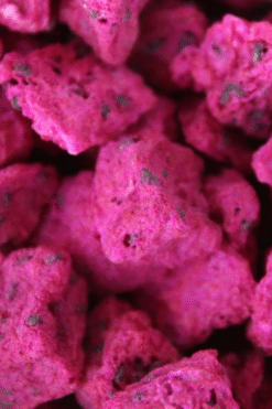 Alternative view of Dragon Fruit