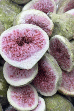 Alternative view of Fig