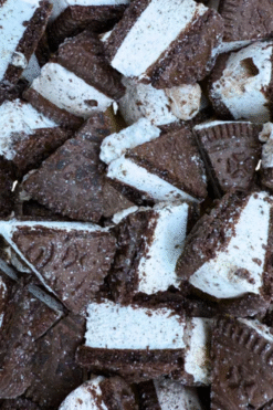 Alternative view of Oreo Ice Cream Sandwich